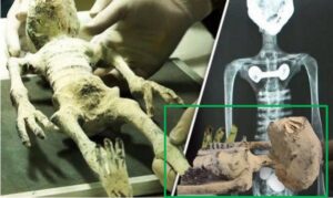 Son las Momias Encontradas en la Cueva De Nazca De Origen Extraterrestre