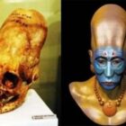 Cráneos Oblongos de Paracas de 3.000 años Pertenecen a una Raza Humana Desconocida