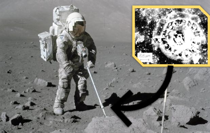 La vida en la luna existe nave espacial de la URSS regresó a la Tierra con evidencia en 1970